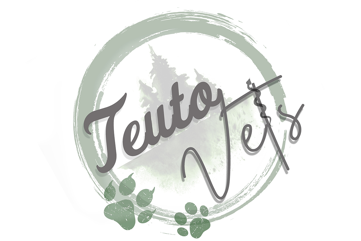 Logo Teuto Vets